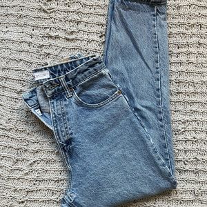 Zara Medium Wash Slim High Rise Jeans (some holes)